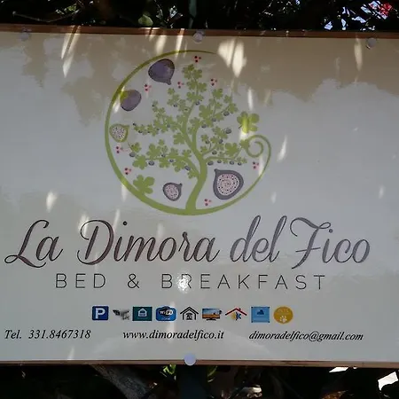 La Dimora Del Fico לינה וארוחת בוקר סאלבה